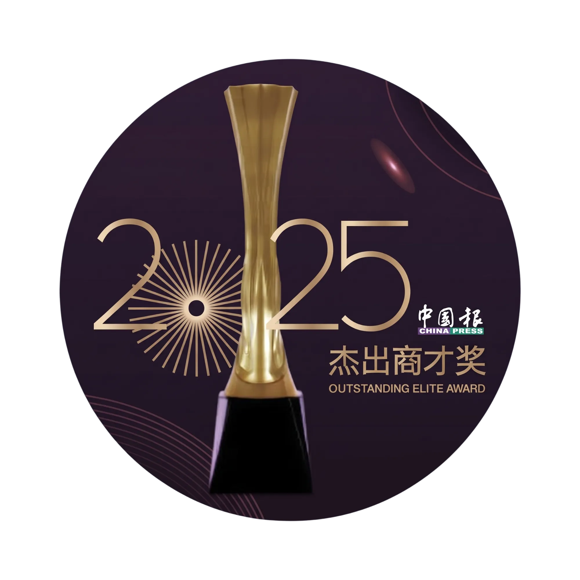 Outstanding Professional Service Award 2025